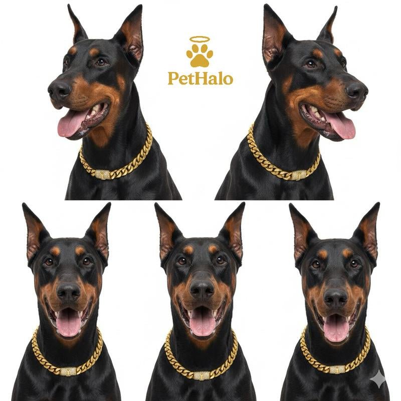 18K Gold Plated Cuban Chain Dog Collar with Custom Initial Pendant - GlowPupi