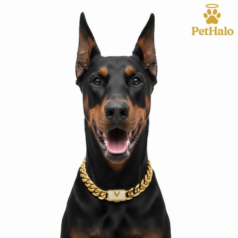 18K Gold Plated Cuban Chain Dog Collar with Custom Initial Pendant - GlowPupi