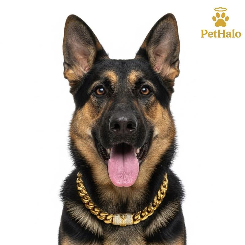 18K Gold Plated Cuban Chain Dog Collar with Custom Initial Pendant - GlowPupi