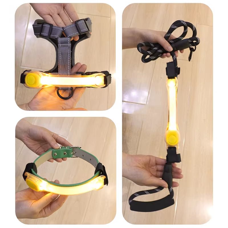 Glow - in - the - Dark Anti - Lost Safety Collar for Dogs – Multi - Color LED Adventure Accessory! - GlowPupy