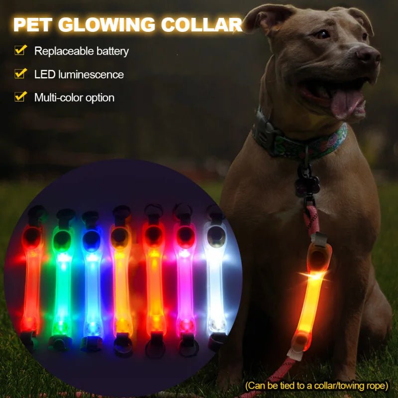 Glow - in - the - Dark Anti - Lost Safety Collar for Dogs – Multi - Color LED Adventure Accessory! - GlowPupy