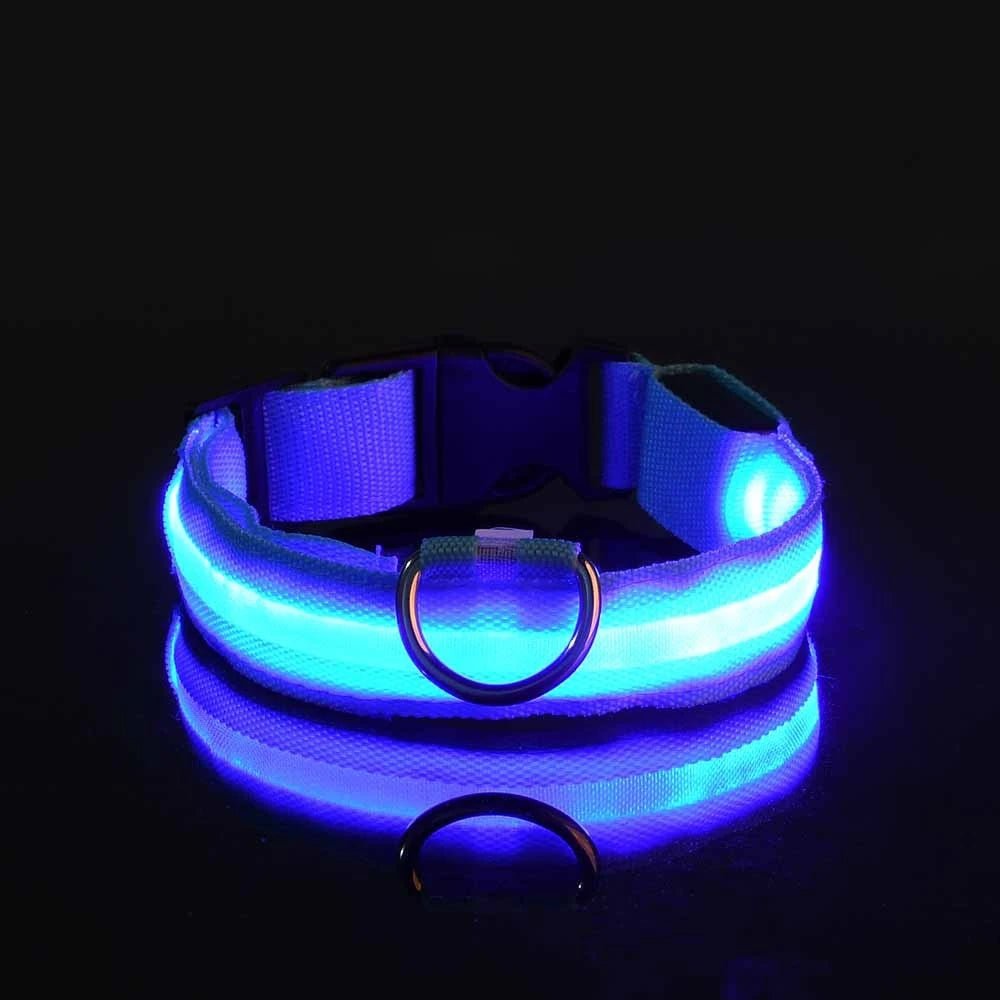 Nylon LED Night Safety Flashing Glow in the Dark Dog Leash Dogs Luminous Fluorescent Pet Dog Collar - GlowPupy