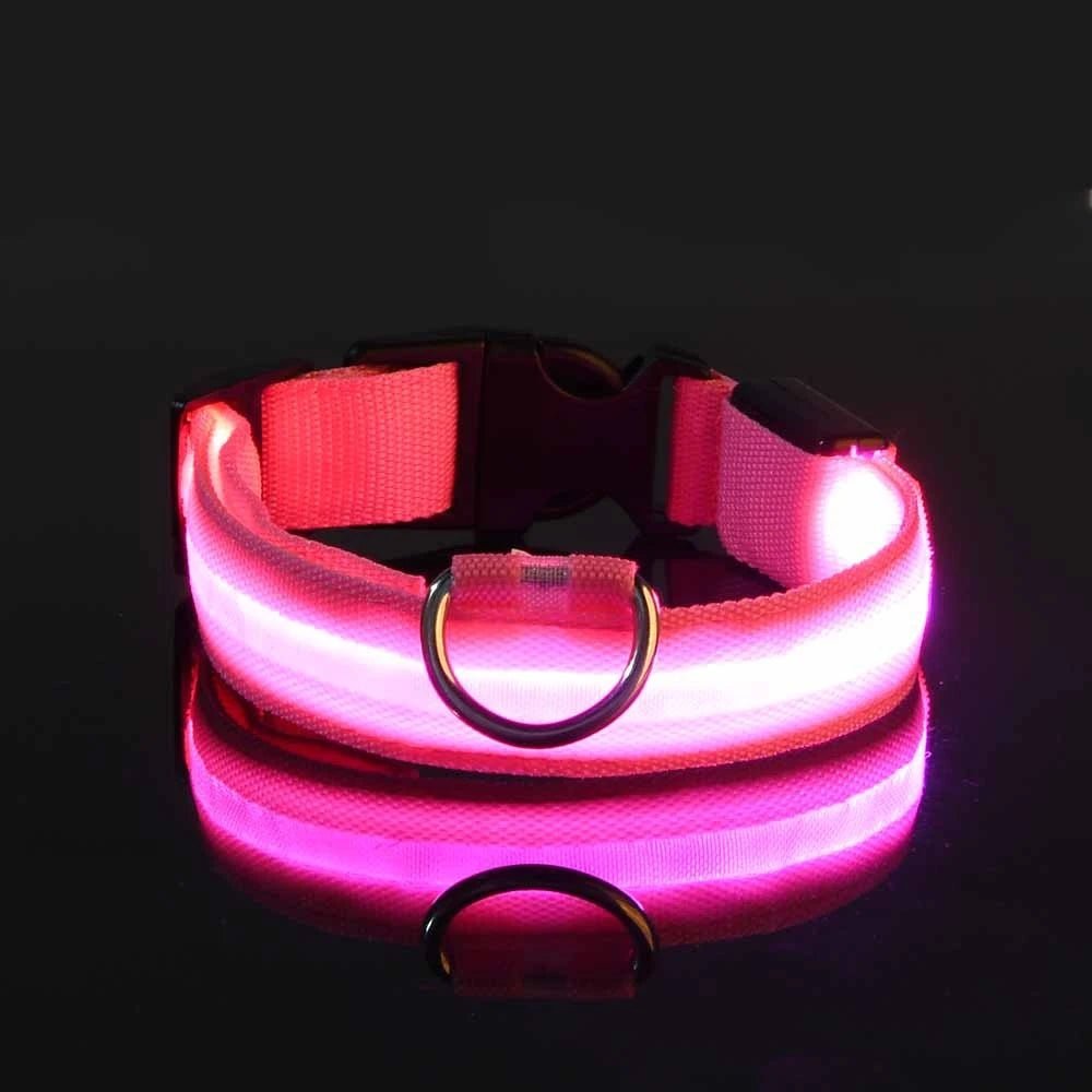 Nylon LED Night Safety Flashing Glow in the Dark Dog Leash Dogs Luminous Fluorescent Pet Dog Collar - GlowPupy