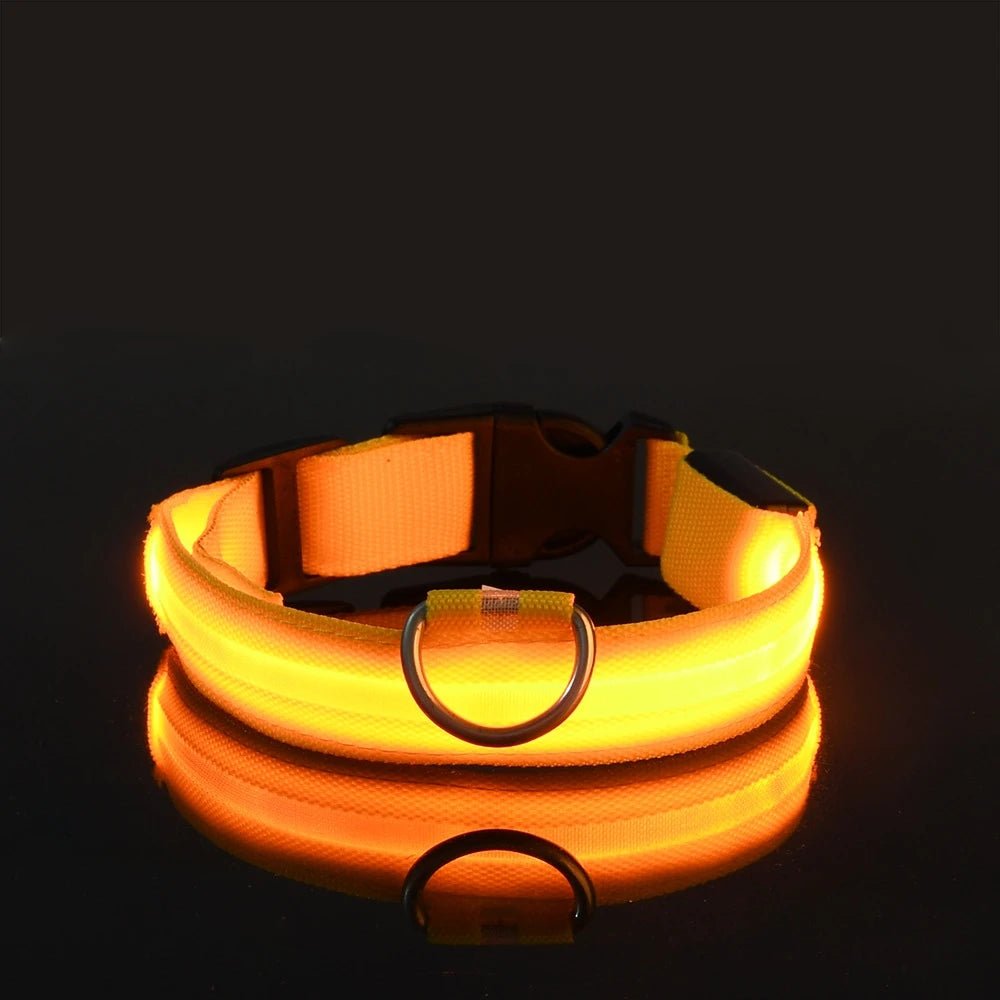 Nylon LED Night Safety Flashing Glow in the Dark Dog Leash Dogs Luminous Fluorescent Pet Dog Collar - GlowPupy