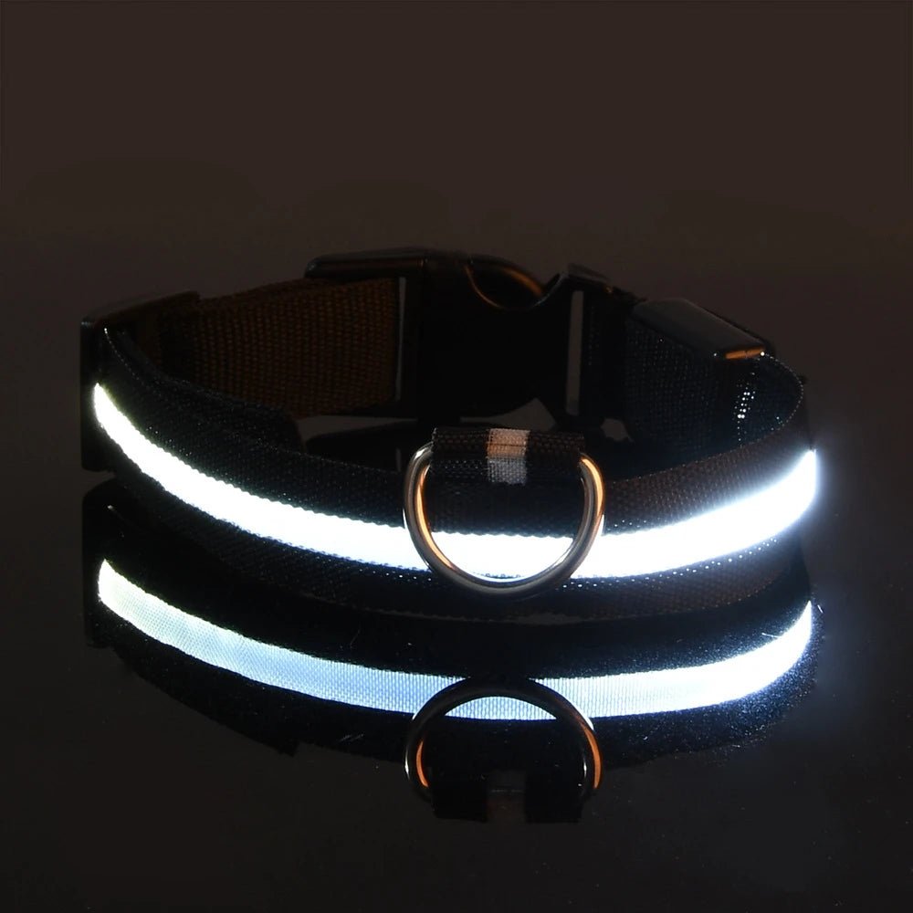 Nylon LED Night Safety Flashing Glow in the Dark Dog Leash Dogs Luminous Fluorescent Pet Dog Collar - GlowPupy