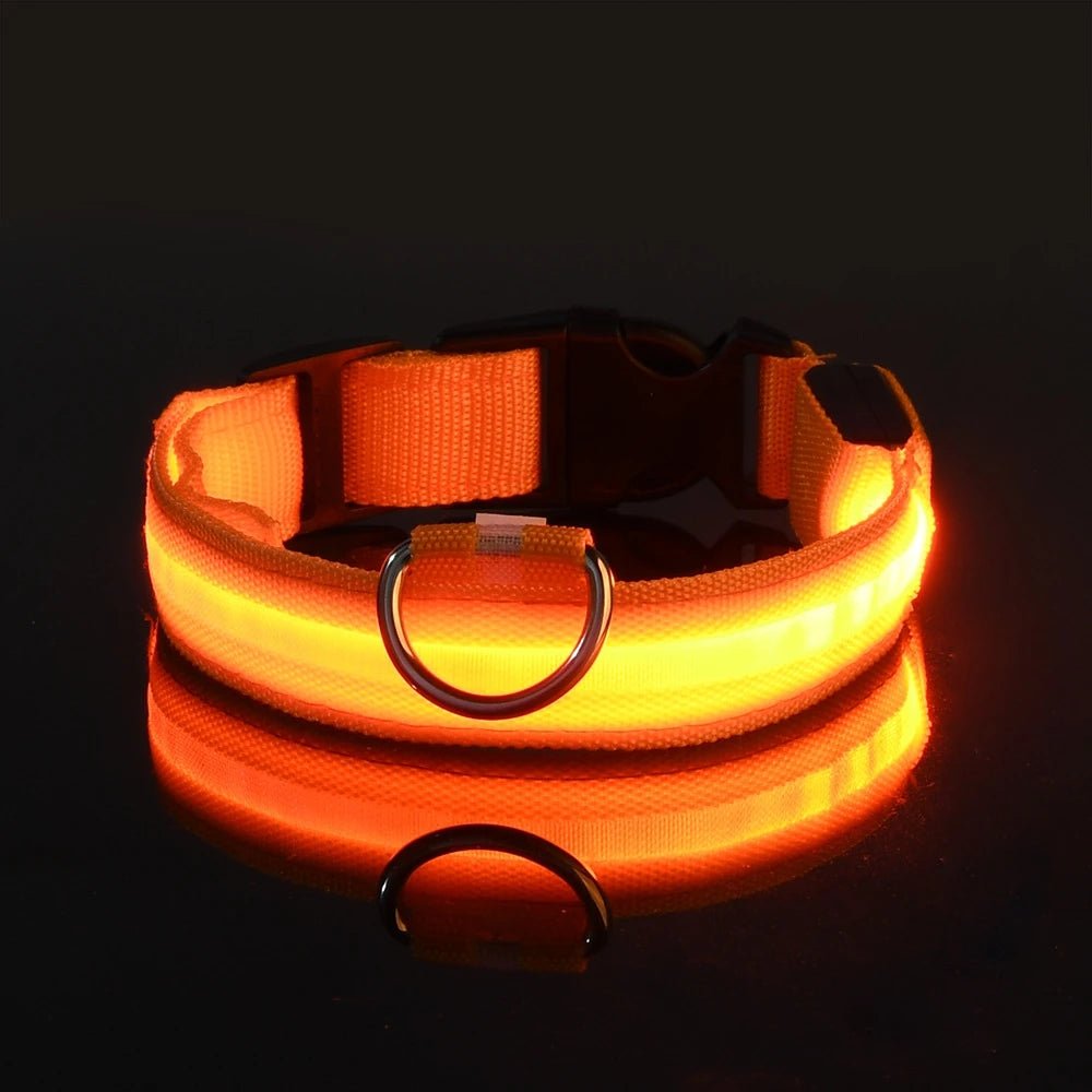 Nylon LED Night Safety Flashing Glow in the Dark Dog Leash Dogs Luminous Fluorescent Pet Dog Collar - GlowPupy