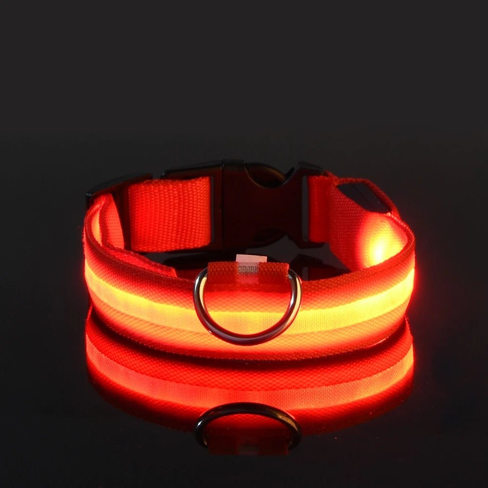 Nylon LED Night Safety Flashing Glow in the Dark Dog Leash Dogs Luminous Fluorescent Pet Dog Collar - GlowPupy