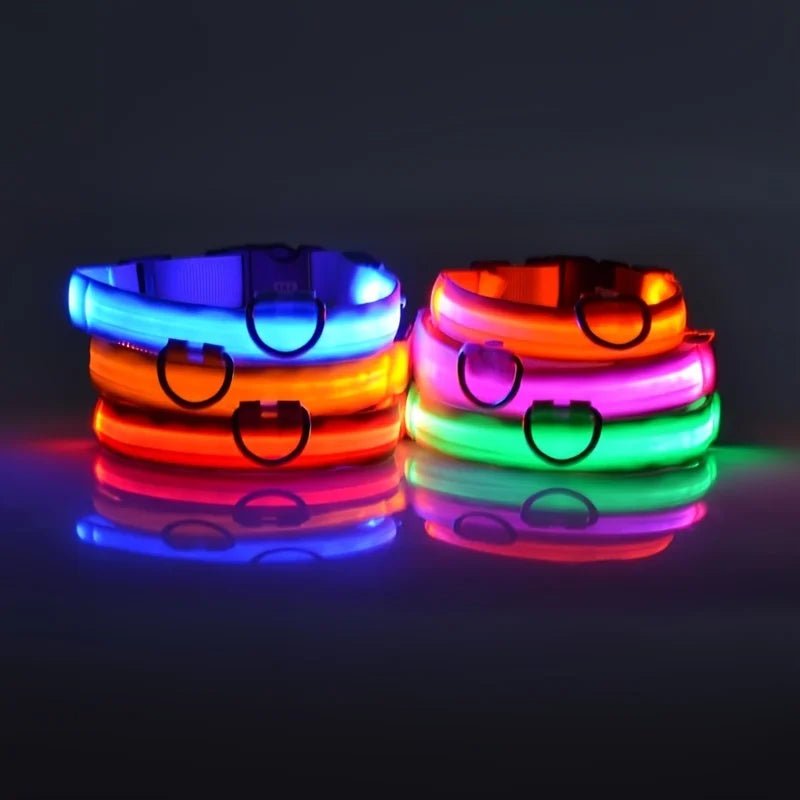 Nylon LED Night Safety Flashing Glow in the Dark Dog Leash Dogs Luminous Fluorescent Pet Dog Collar - GlowPupy