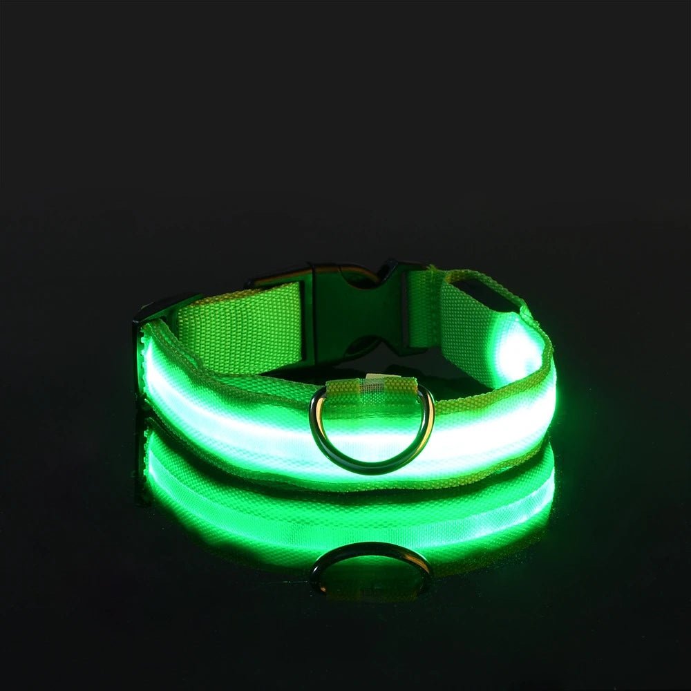 Nylon LED Night Safety Flashing Glow in the Dark Dog Leash Dogs Luminous Fluorescent Pet Dog Collar - GlowPupy