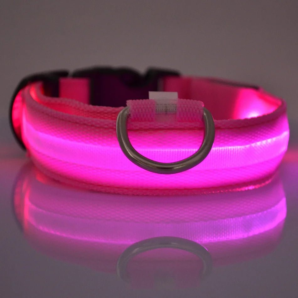 Nylon LED Night Safety Flashing Glow in the Dark Dog Leash Dogs Luminous Fluorescent Pet Dog Collar - GlowPupy