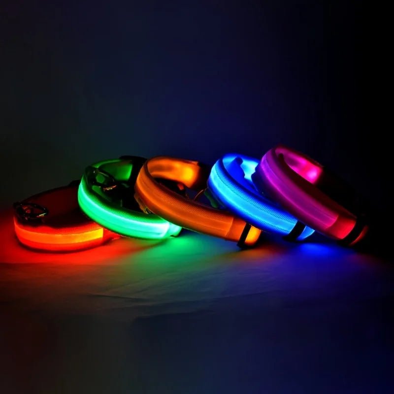 Nylon LED Night Safety Flashing Glow in the Dark Dog Leash Dogs Luminous Fluorescent Pet Dog Collar - GlowPupy