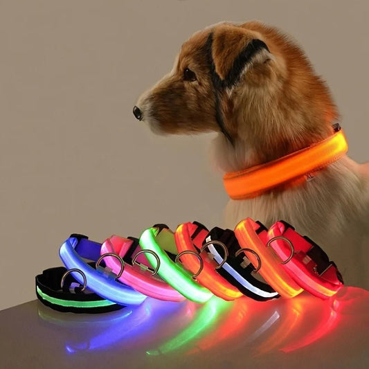 5 Ways to Keep Your Dog Safe on Dark Evenings | GlowPupy™ Ireland - GlowPupi