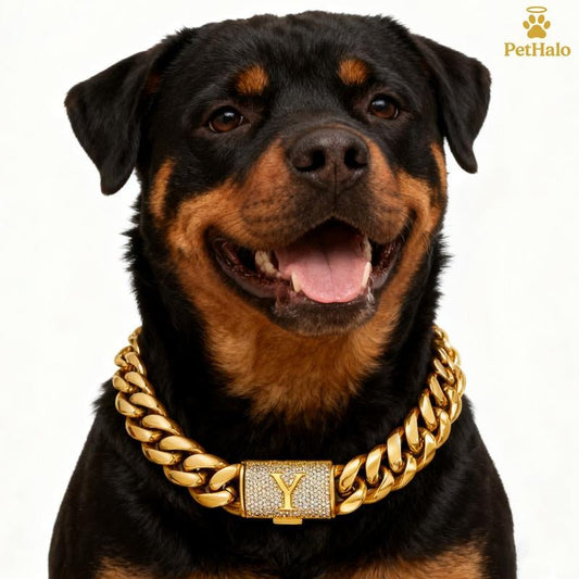 18K Gold Plated Cuban Chain Dog Collar with Custom Initial Pendant - GlowPupi