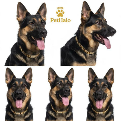 18K Gold Plated Cuban Chain Dog Collar with Custom Initial Pendant - GlowPupi