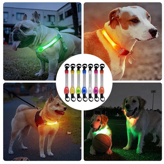 Glow - in - the - Dark Anti - Lost Safety Collar for Dogs – Multi - Color LED Adventure Accessory! - GlowPupy