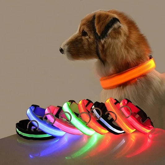Nylon LED Night Safety Flashing Glow in the Dark Dog Leash Dogs Luminous Fluorescent Pet Dog Collar - GlowPupy